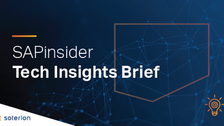 post_1098_ukisugparterportal_blog_sapinsidertechinsightsbrief.png