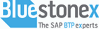 Bluestonex Logo.png