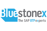 Bluestonex Rectangle.png