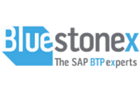 Bluestonex Rectangle.png