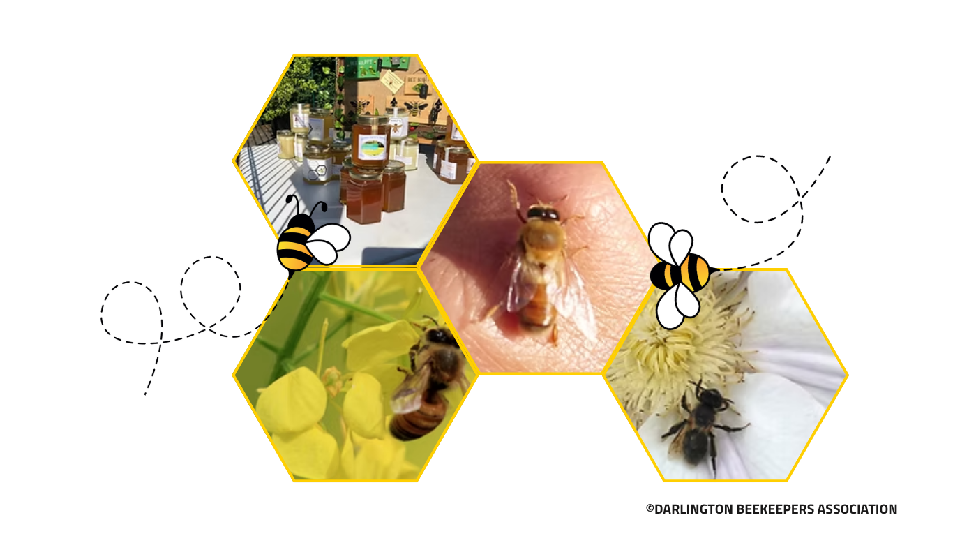 Connect Pricing Image Website (6).png 1